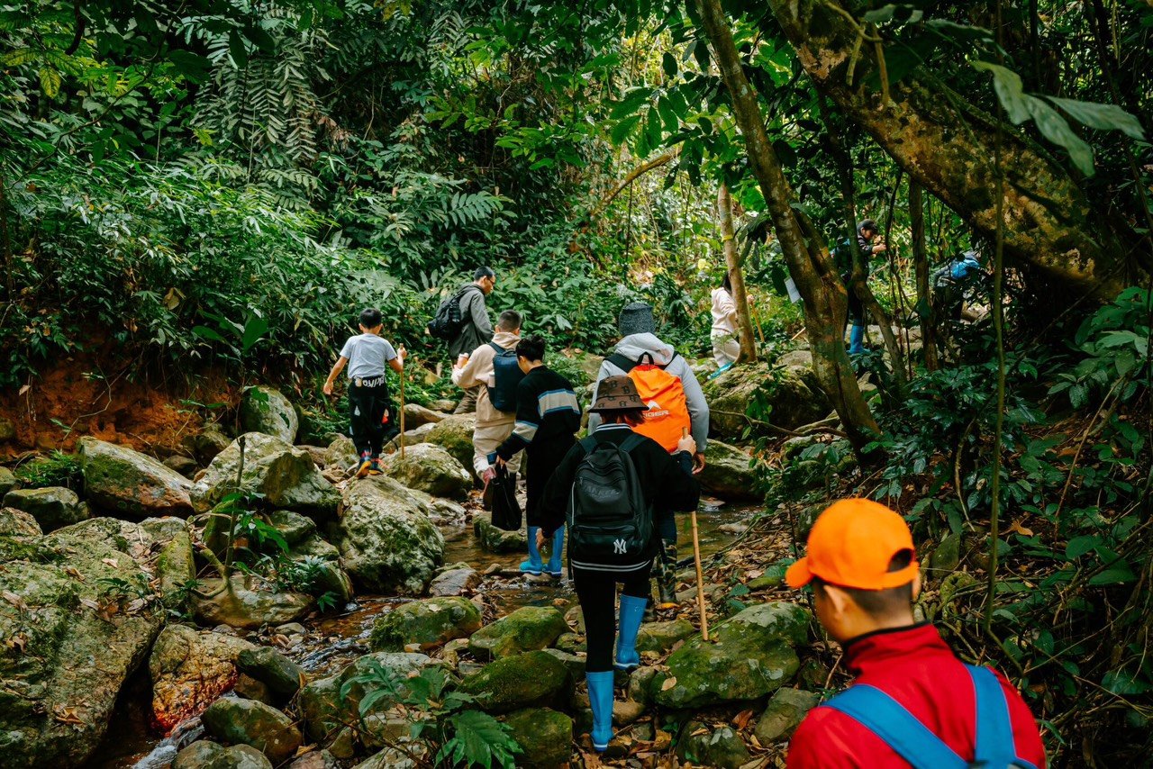 The Ultimate Guide to Rice Terraces Hiking: A Journey into the Heart of Vietnam